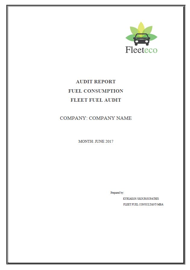 Sample Audit Report